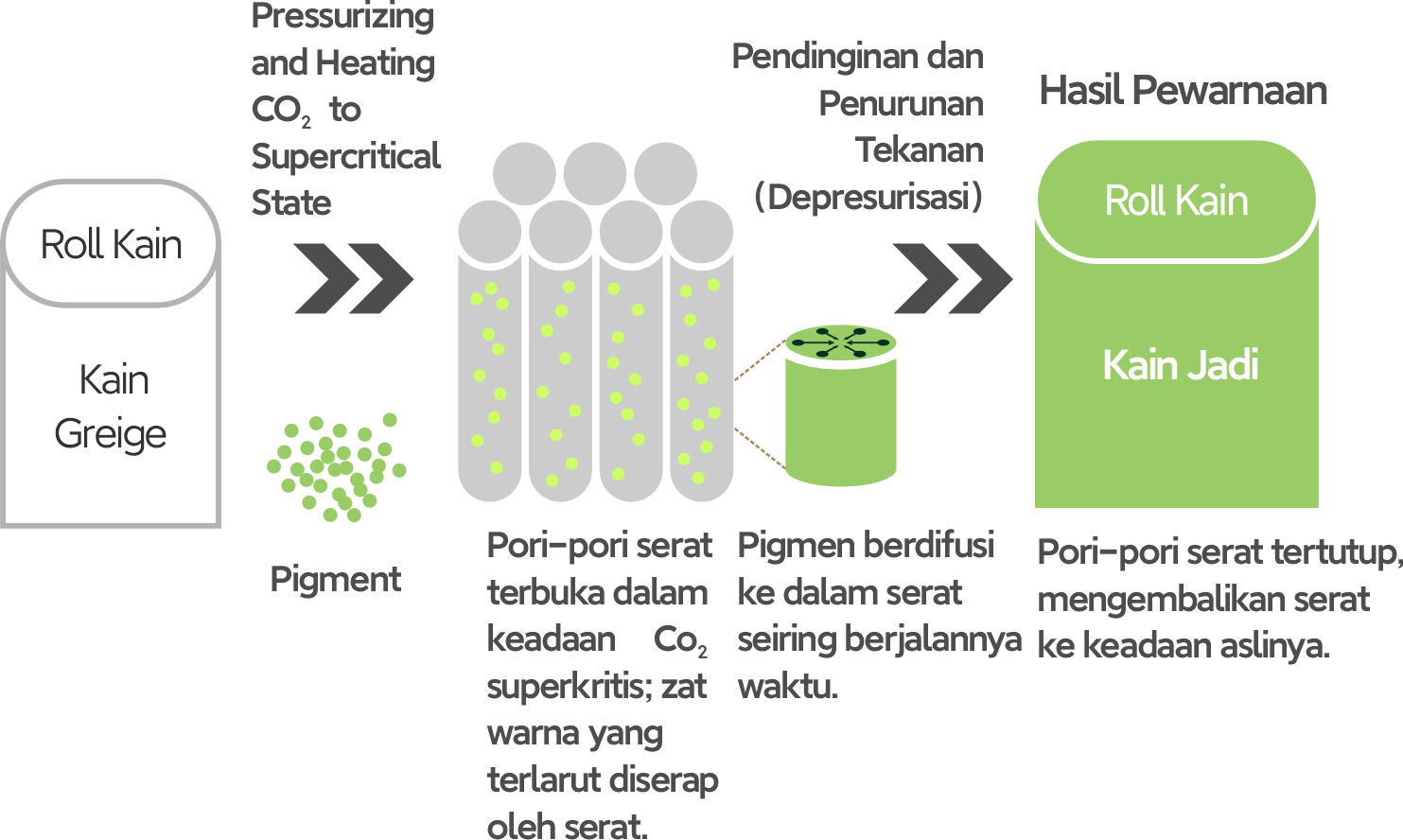 Prinsip Pewarnaan Fluida CO2 Superkritis